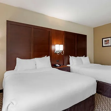 Comfort Inn & Suites Near Six Flags & Medical Center-2
